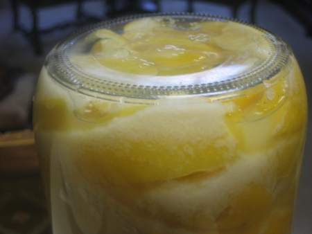 Preserved Lemons Jan-11.jpg